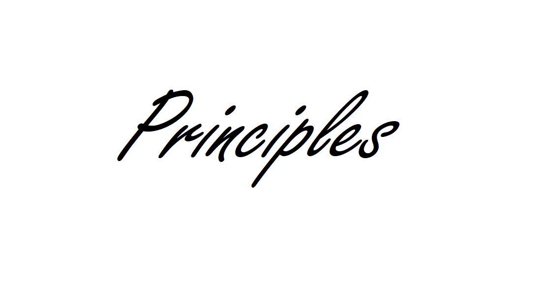 Core values and ethical principles I.