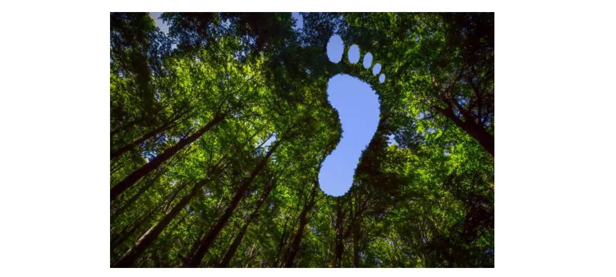 carbon footprint tracking and management