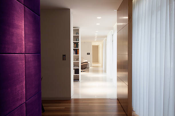 Accent colors like a violet wall in modern hallway with wooden floor