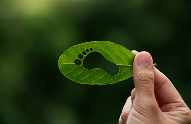 Tracking our ecological footprint is crucial to save the planet and part of sustainability.