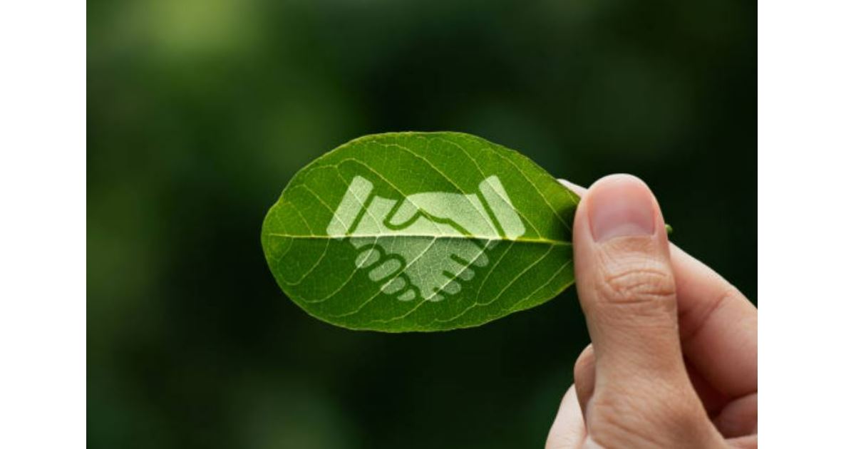 Sustainability: Core Value for a Greener Future